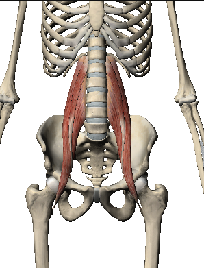 PSOAS